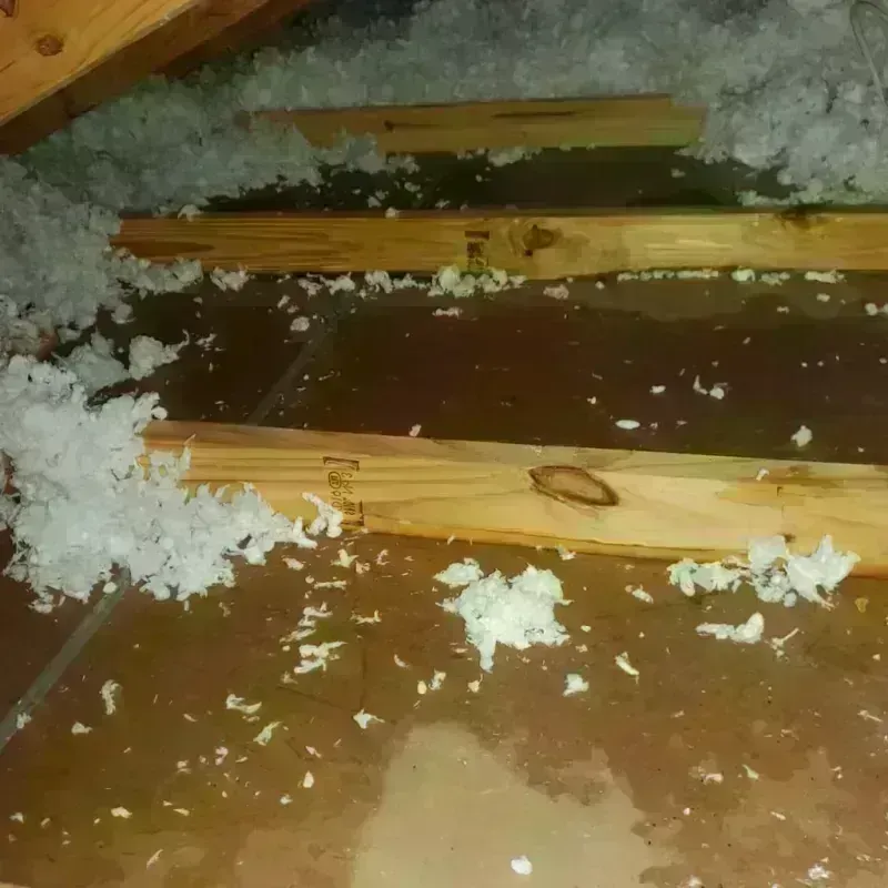 Attic Water Damage in Hyde County, SD