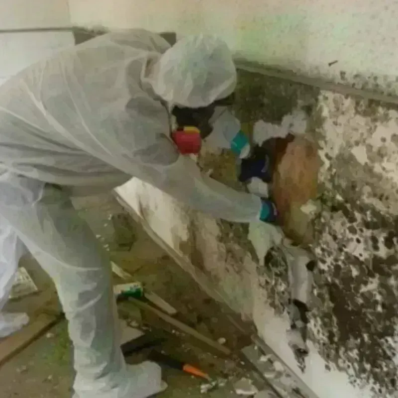 Mold Remediation and Removal in Hyde County, SD