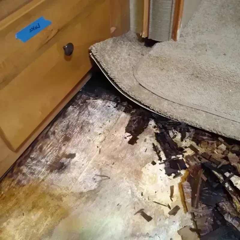 Wood Floor Water Damage in Hyde County, SD